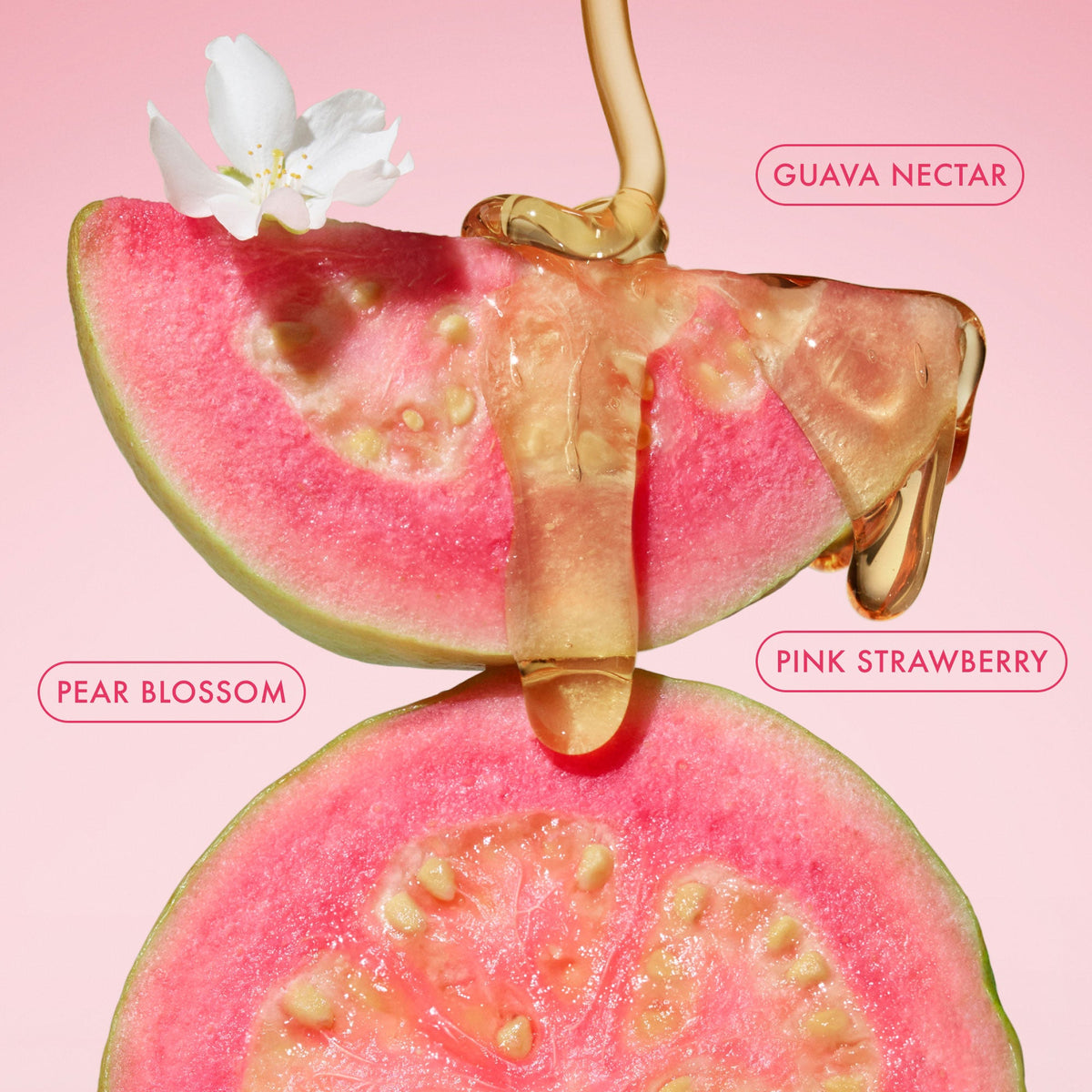 mini-body-butter-trio-v0 BodyButterBalmPinkGuava_3.jpg