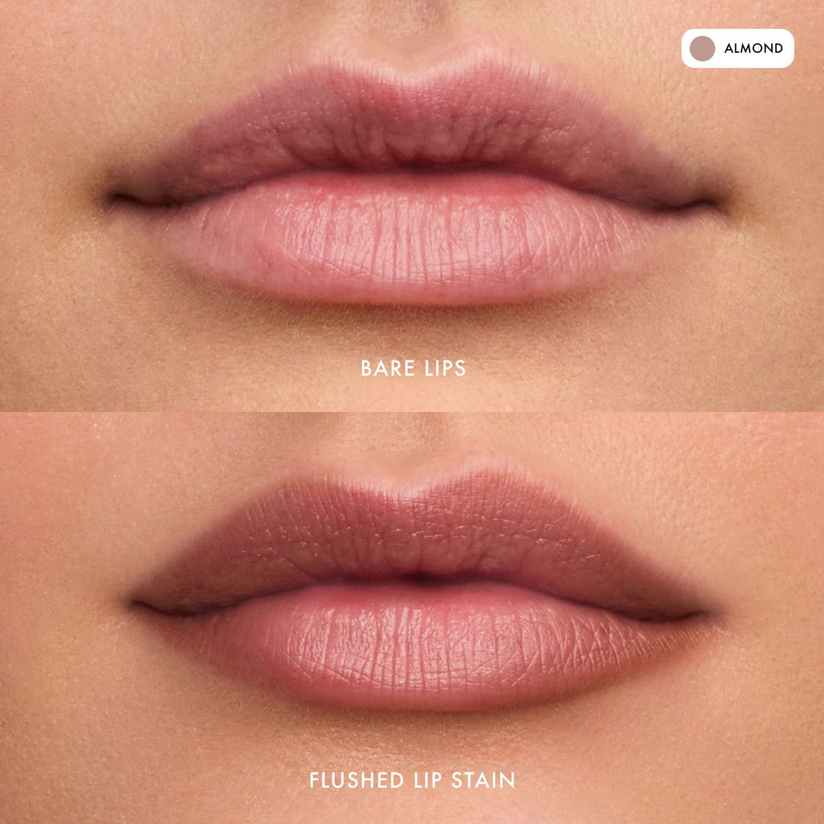 flushed-lip-stain-almond-n5 FlushedLipStain_Almond_B_A.jpg