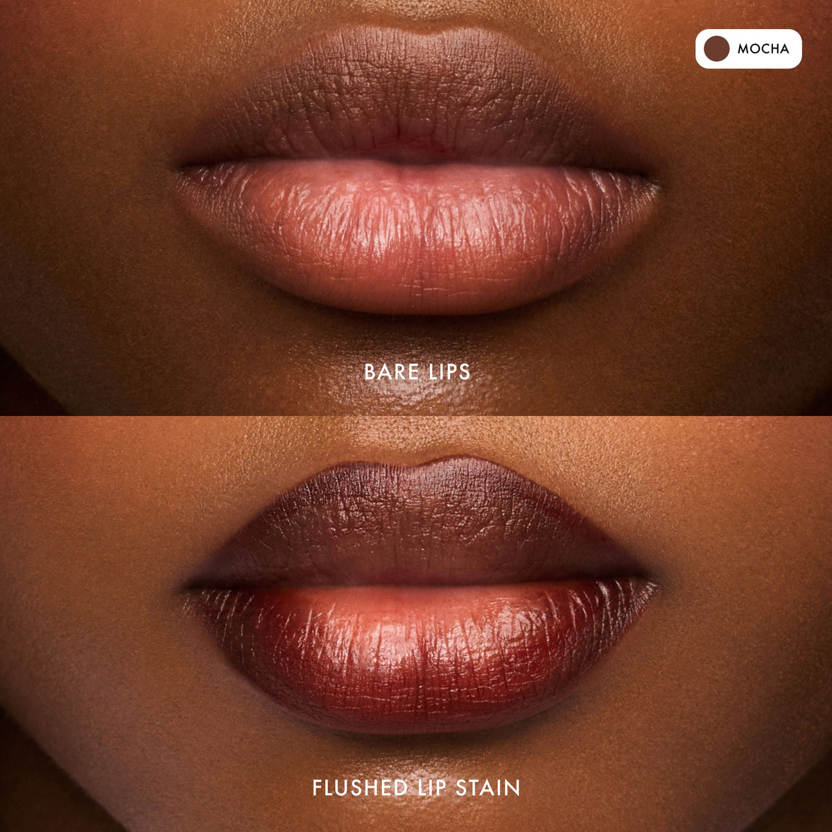 flushed-lip-stain-mocha-v5 FlushedLipStain_Mocha_B_A.jpg