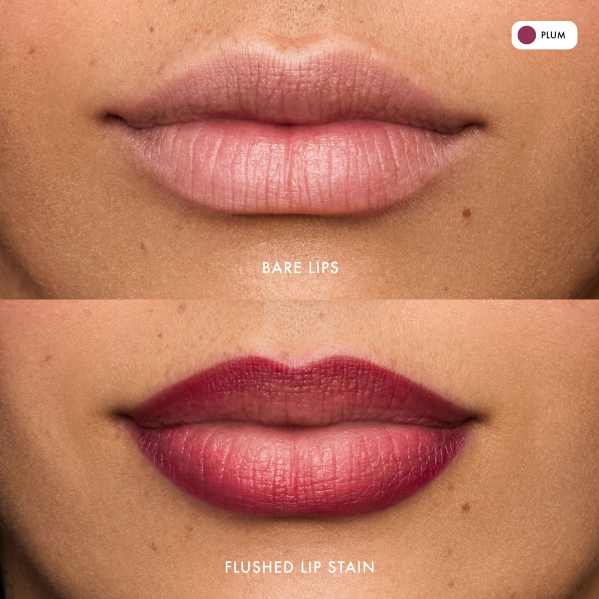 flushed-lip-stain-plum-t2 FlushedLipStain_Plum_B_A.jpg