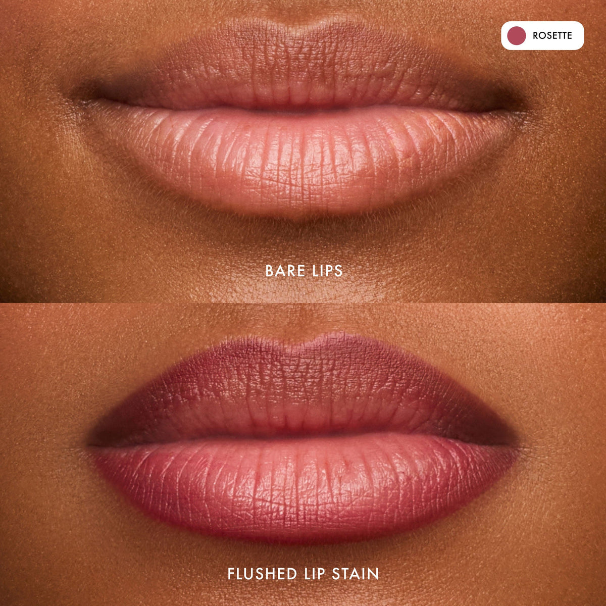 flushed-lip-stain-rosette-f5 FlushedLipStain_Rosette_B_A.jpg