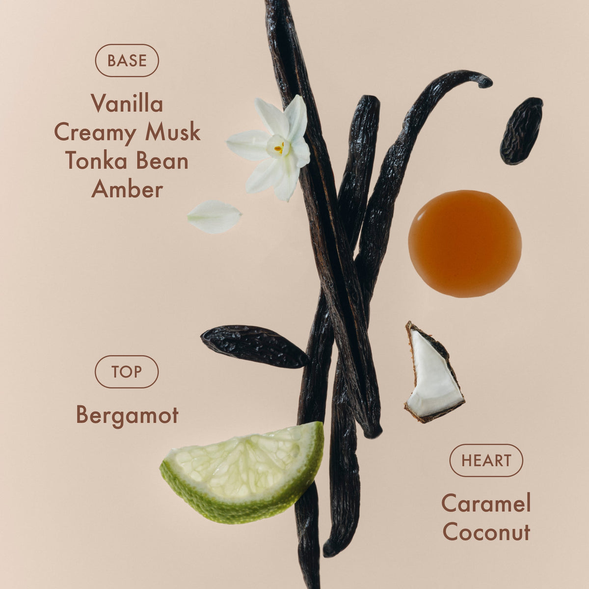 sunlit-vanillatm-eau-de-parfum-j6 SunlitVanilla_4.jpg